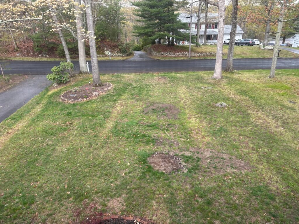 Lawn still bad after 3.5 years Lawn still bad after 3.5 years