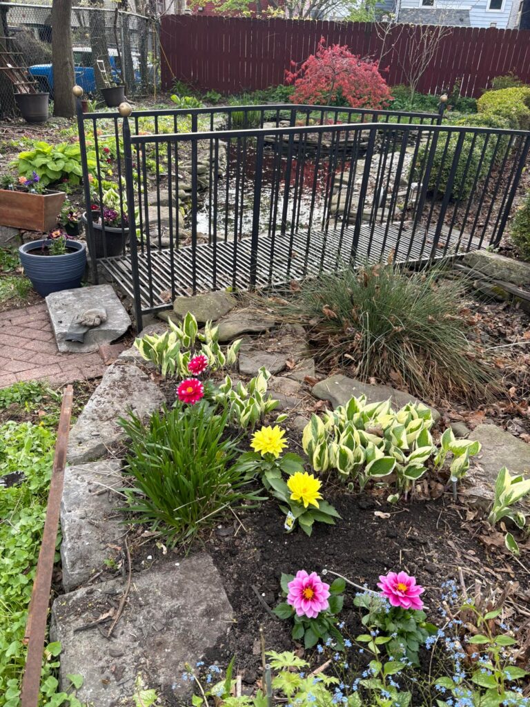 New Additions to Zone 6 Garden