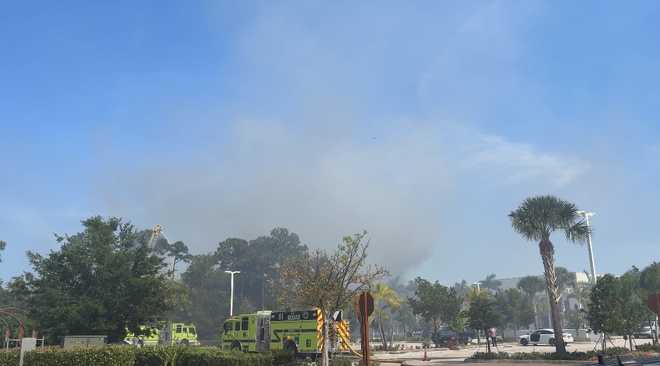 Fire rescue responds to brush fire near Alton Town Center in Palm Beach Gardens Fire rescue officials are addressing a brush fire near Alton Town Center in Palm Beach Gardens on Sunday afternoon.