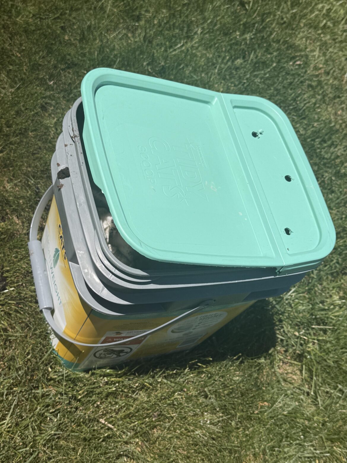 my beginning compost bin my beginning compost bin