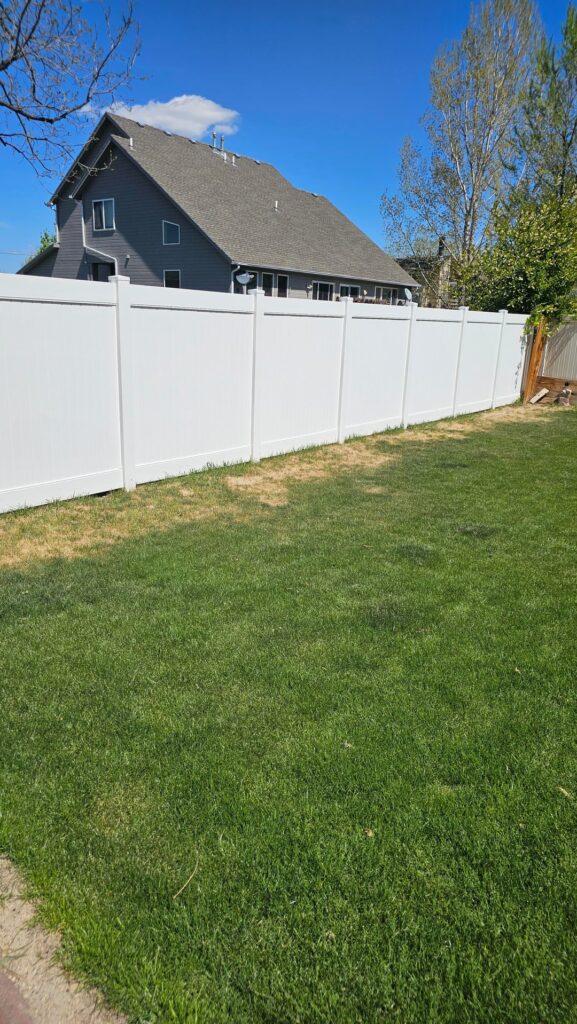 Neighbor installed white vinyl fence at the end of last season. Zone 5a. MT. KBG and fescue Neighbor installed white vinyl fence at the end of last season. Zone 5a. MT. KBG and fescue