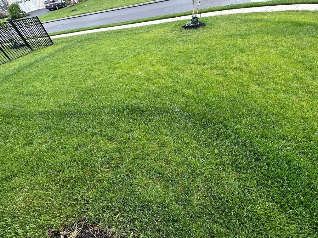 Scott’s spreader got me