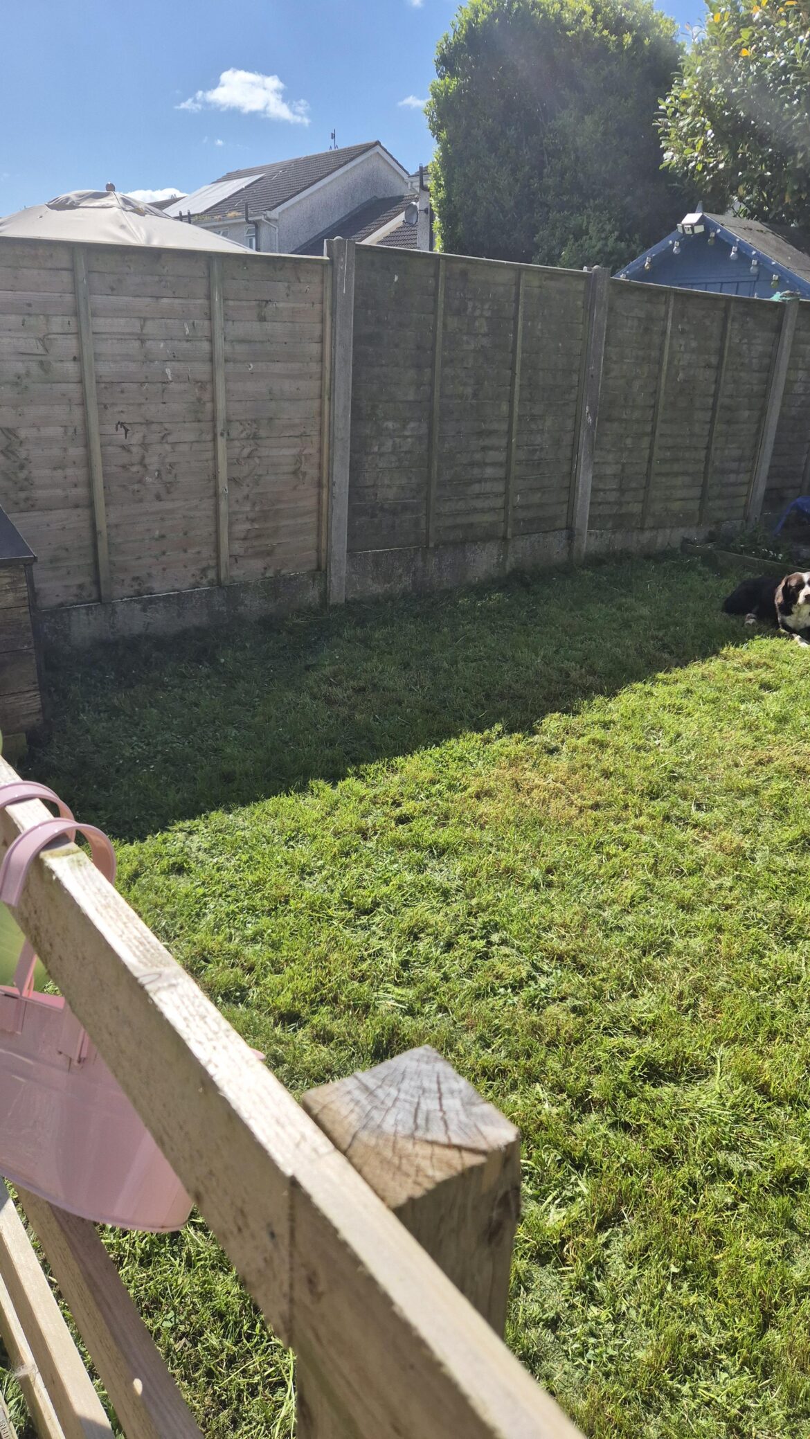 What to use in shaded edge of a garden. What to use in shaded edge of a garden.