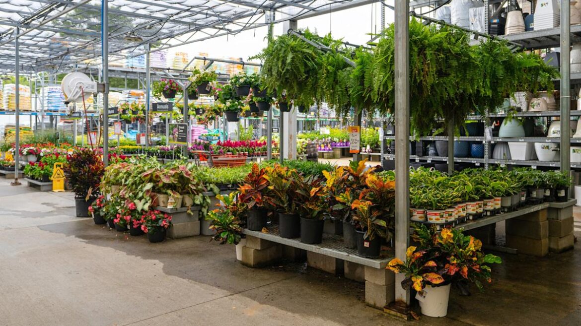 Why You Should Think Twice Before Buying Plants From Home Depot & Other Big Box Stores