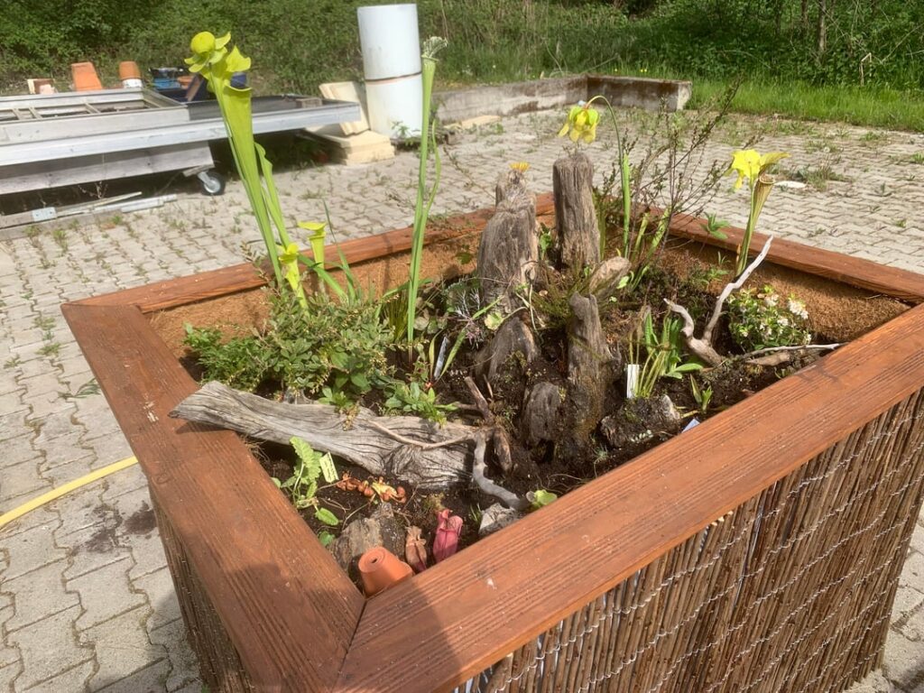 Is it still a mini bog at 170 gal?