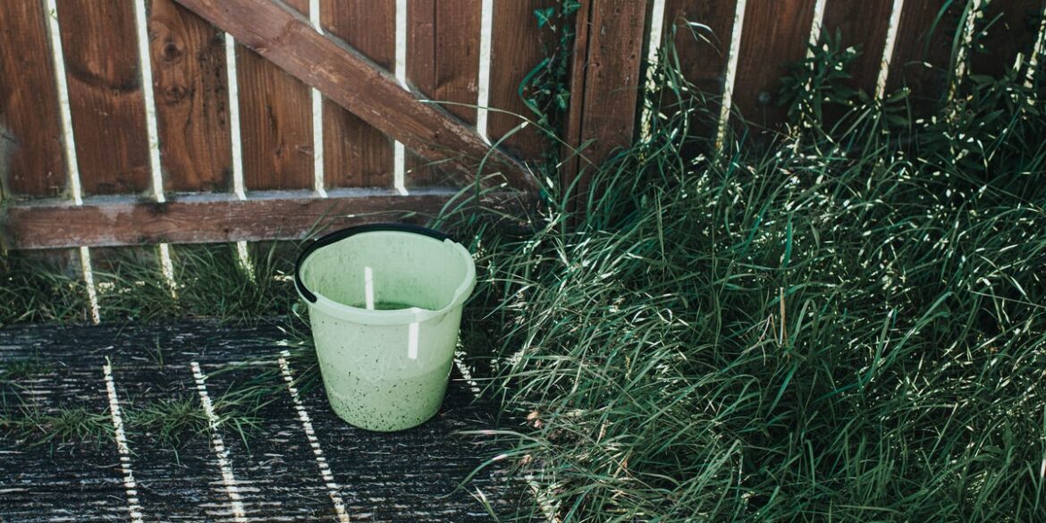 How a $4 Bucket Can Help Get Rid of Mosquitoes