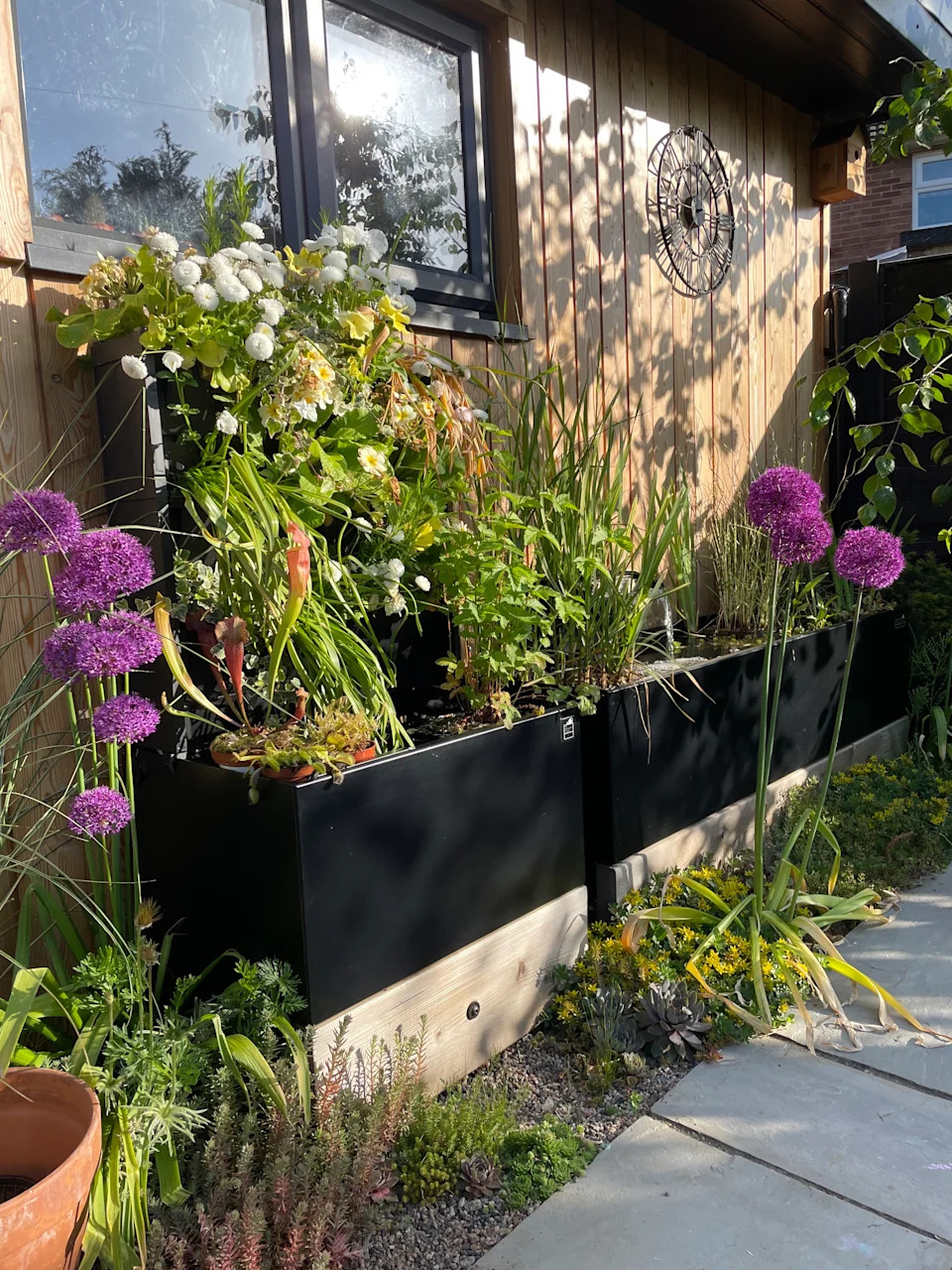 a dipping tank in a garden next to an outdoor structure surrounded by plants