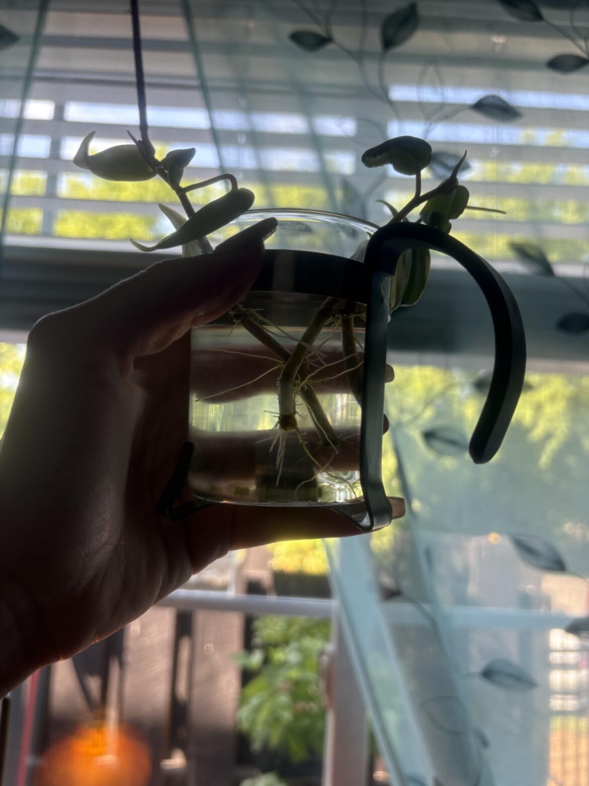 How deep to plant?
