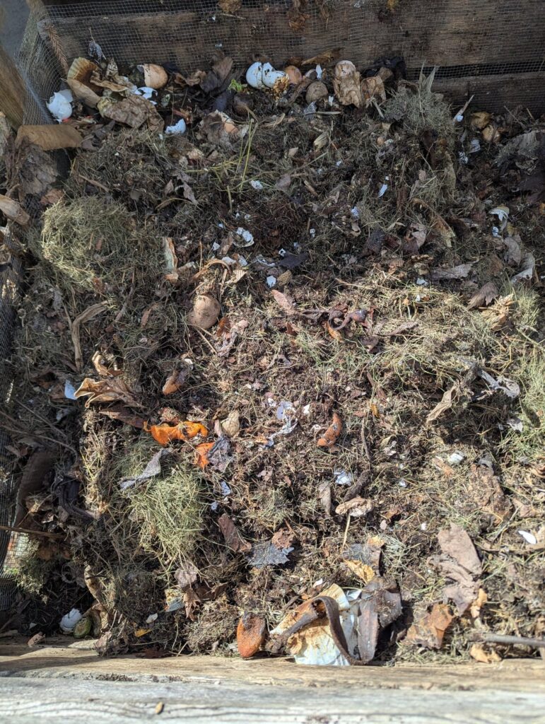 Barely tended compost