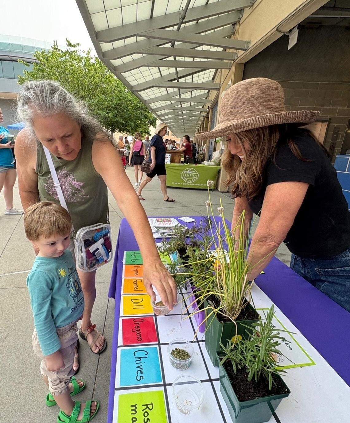 An Extension master gardener teaching the community about different herbs at the Lenexa Farmers Market.