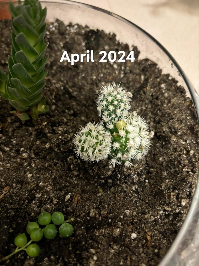 2 years of growth