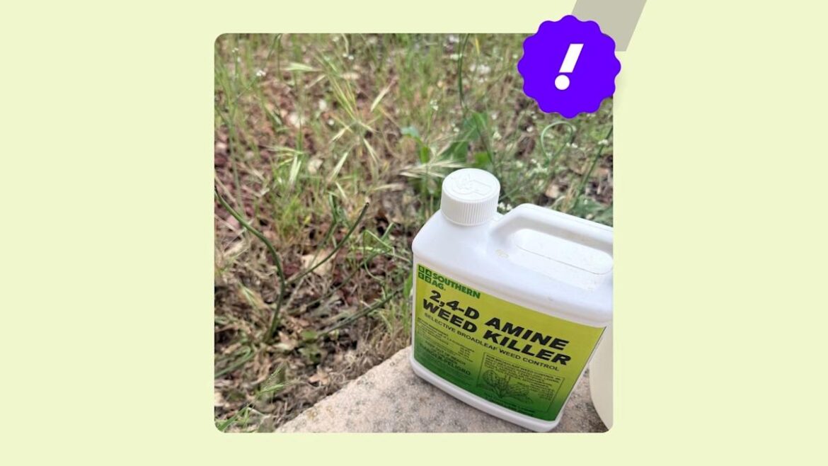 The best weed killer for lawns in 2026, according to testing The best weed killer for lawns in 2026, according to testing