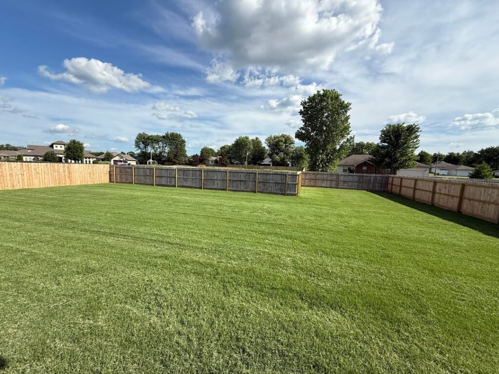 How’s my Bermuda look
