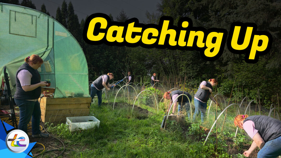 Transport Evolved Chicken and Garden Update: Catching Up!