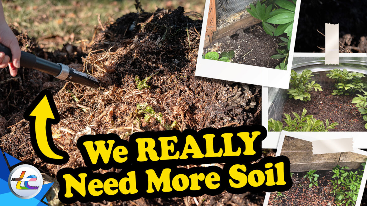 Transport Evolved Chicken and Garden Update: We REALLY Need More Soil!