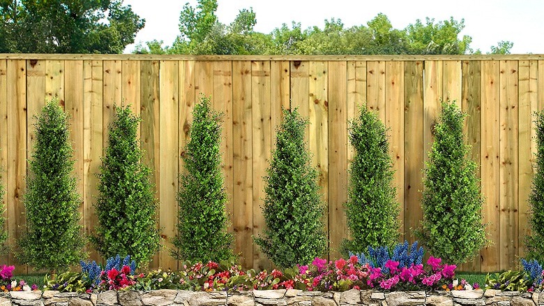 backyard with green grass, trees, flowers and wood fence