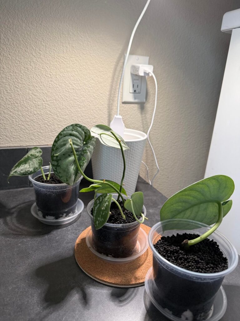 Stratum vs water
