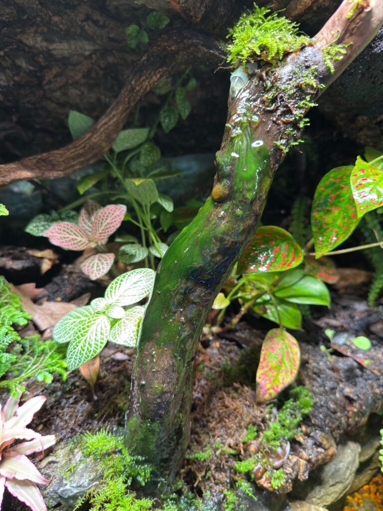 This water feature isn’t what I wanted it to be. Any ideas for improvement?