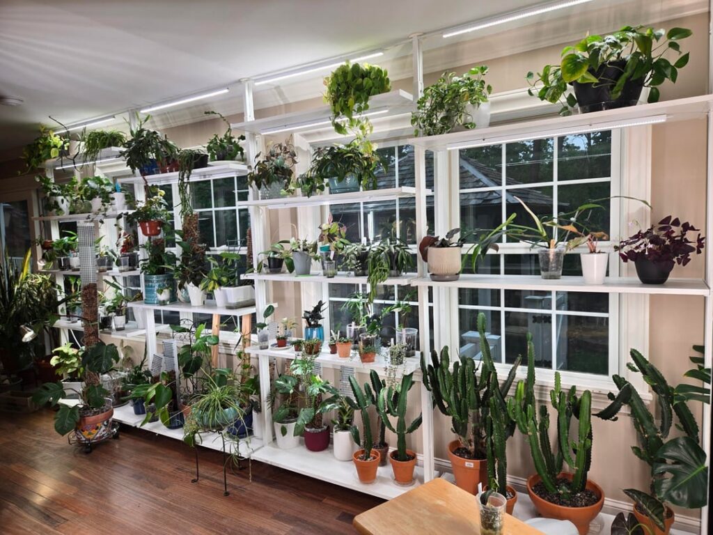 My Mother's Day gift - plant shelves!