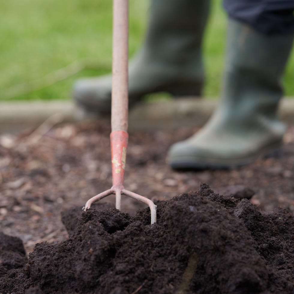 Compost and native soil compost and native soil
