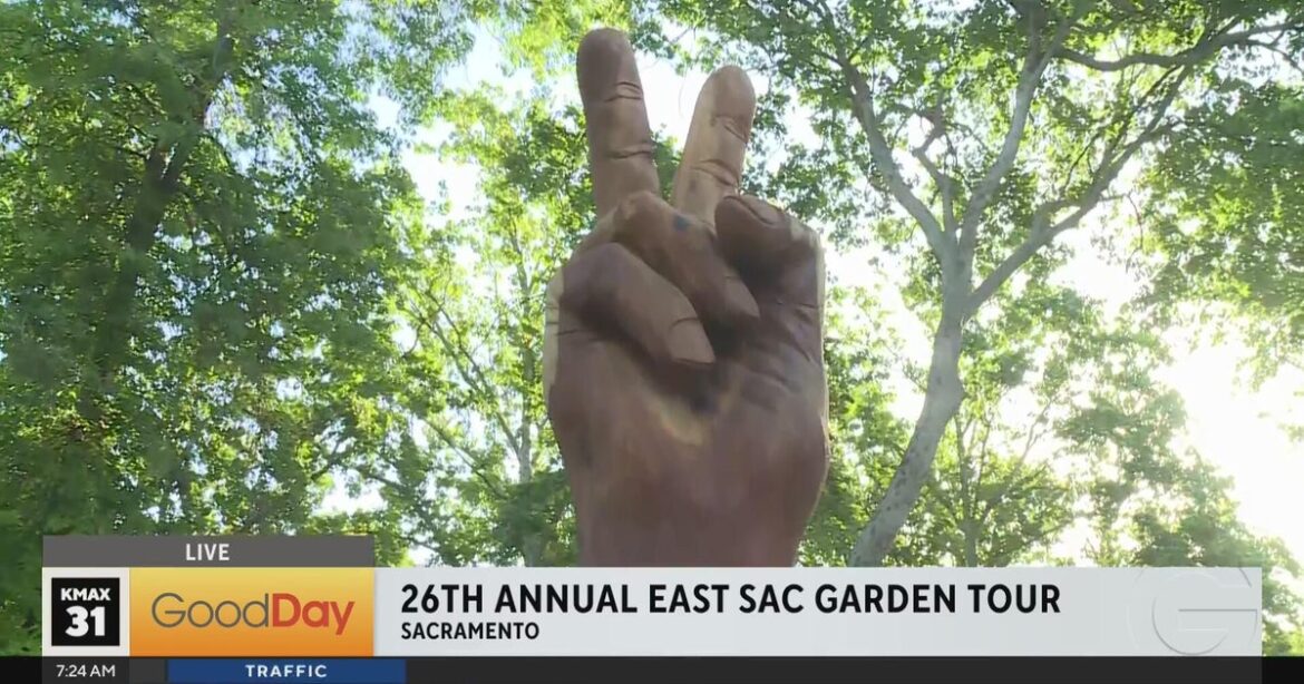 East Sac Garden tour 7am