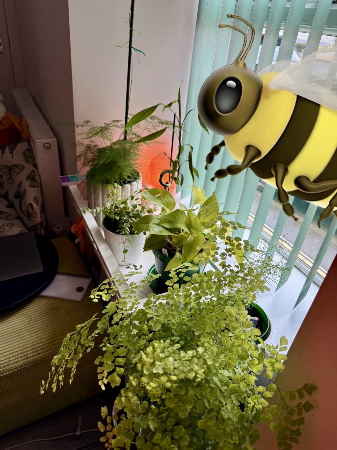 Keeping my plants alive helps my depression so much