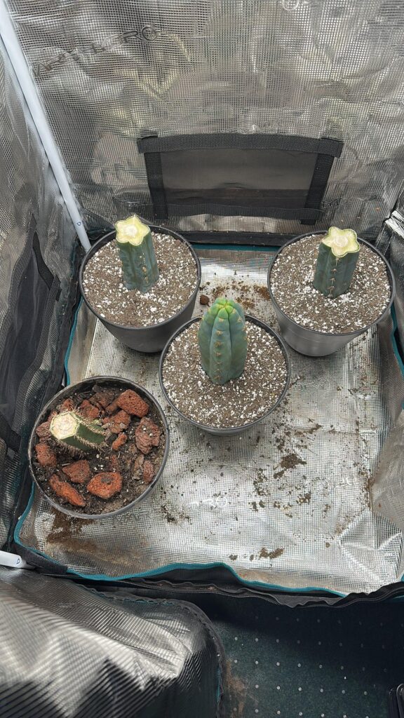 Spring Update