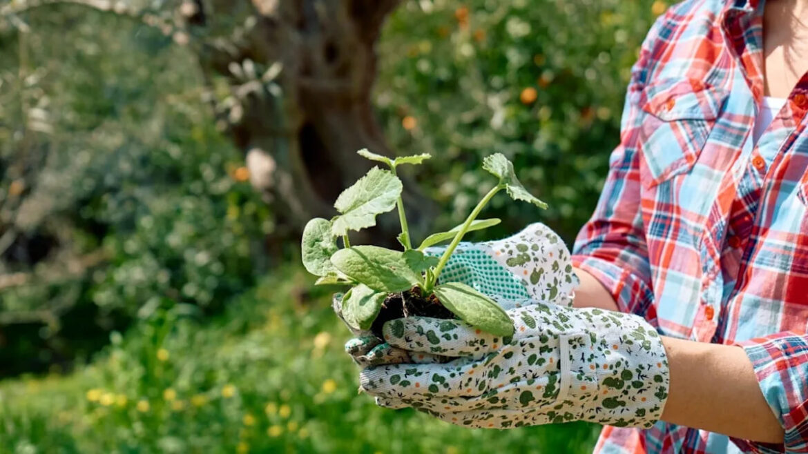 The May Gardening Mistakes Most People Make Every Single Year Yahoo lifestyle home