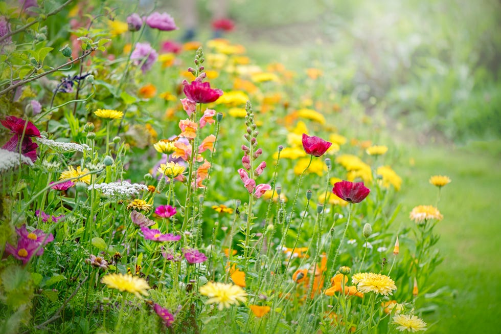top gardening trends of 2026 cutting garden