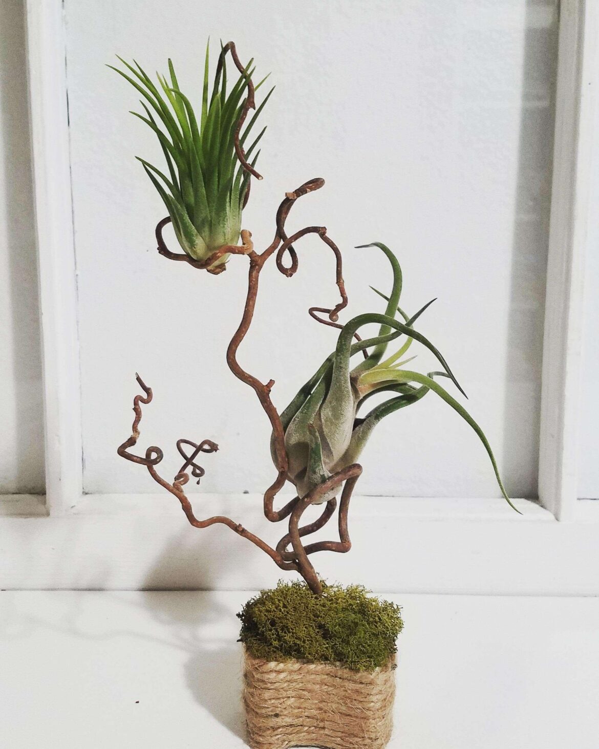 Double decker holder I made for my little plants