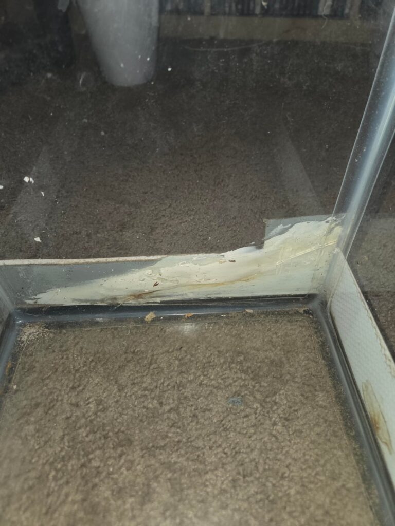 Free tank with questionable sealing. Could I still use it? Free tank with questionable sealing. Could I still use it?