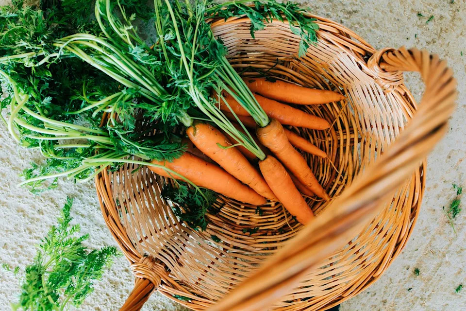 freshly picked carrots n rustic wicker basket