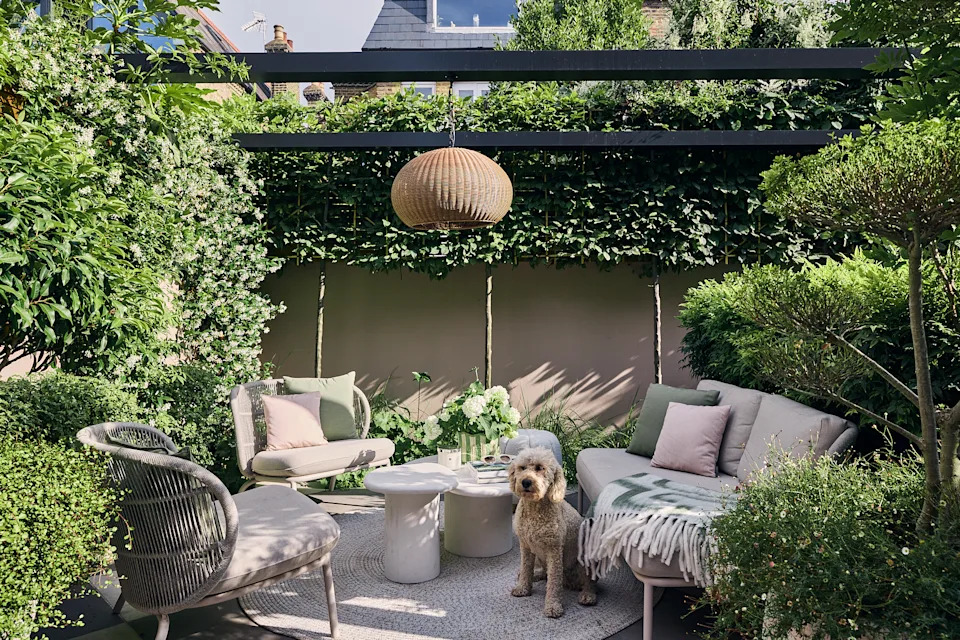 a modern garden filled with plants with a large checkerboard floor