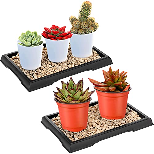 Pinkunn 2 Pcs Bonsai Humidity Tray Rectangular Drip Tray Plastic Plant Water Catcher Plant Saucers for Indoors and Outdoors Cactus,succulents,bonsai Tree,stone Not Included (7.8 X 5.5 Inch)