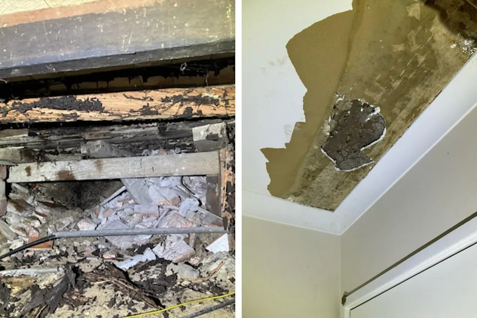 Walls and ceilings that have been eaten away by termites