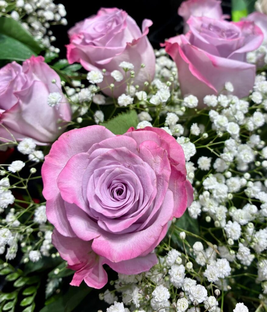 Beautiful roses found in a grocery store