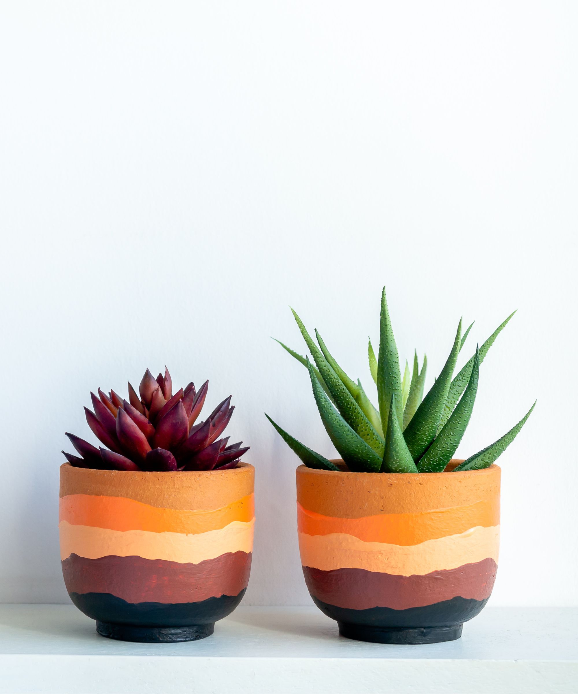 Two orange and black ombre planters with succulents