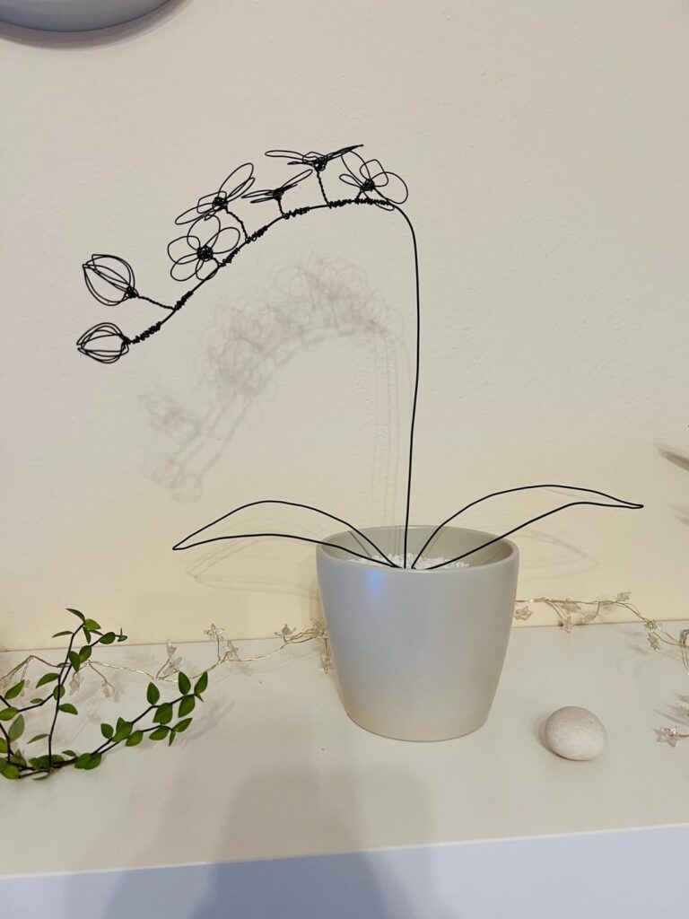 No-Water Orchid 🌿