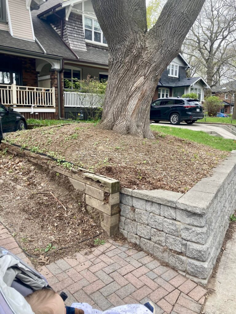 Can we Level the Mound Behind our Tree?