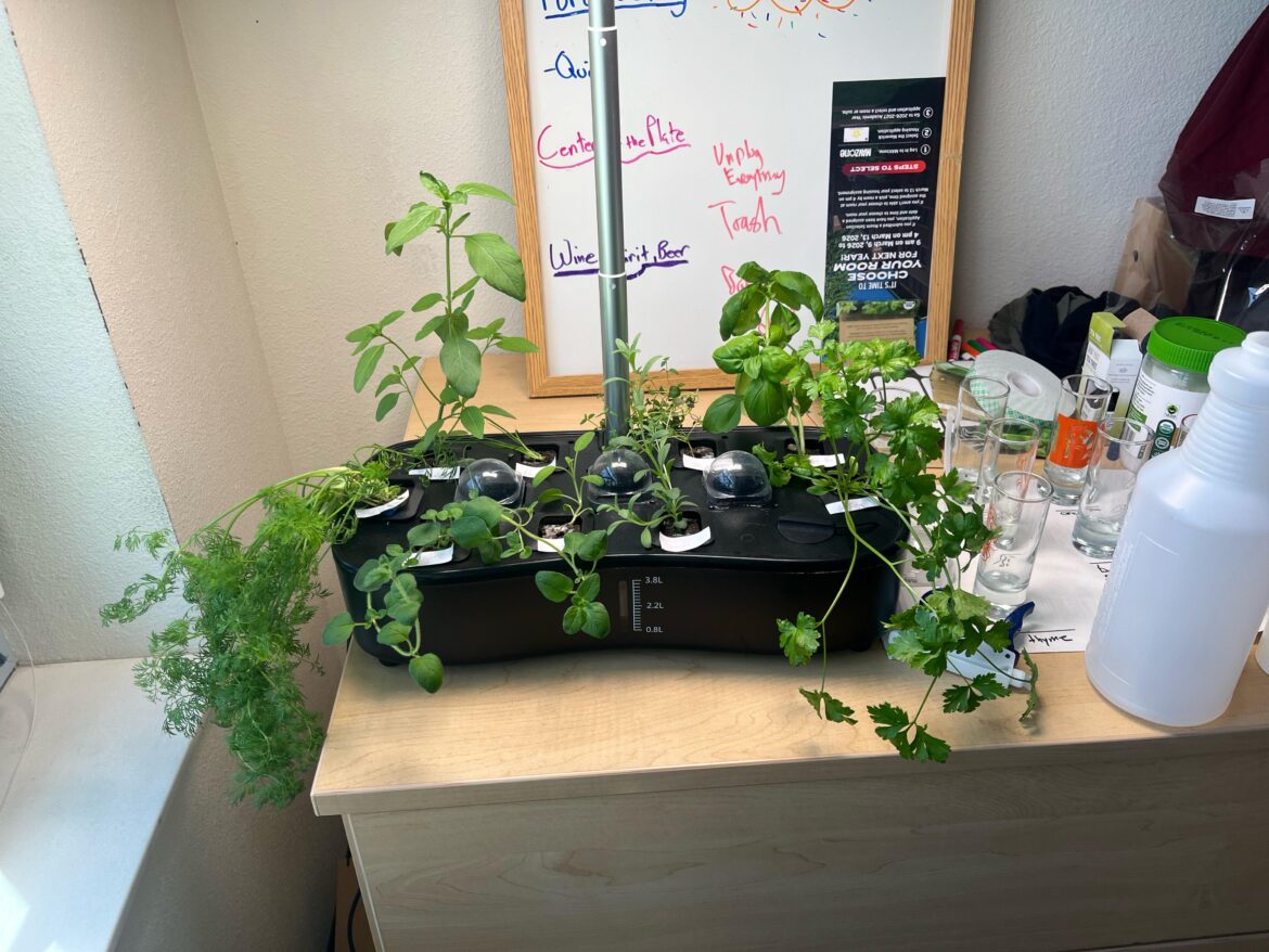 First System First System