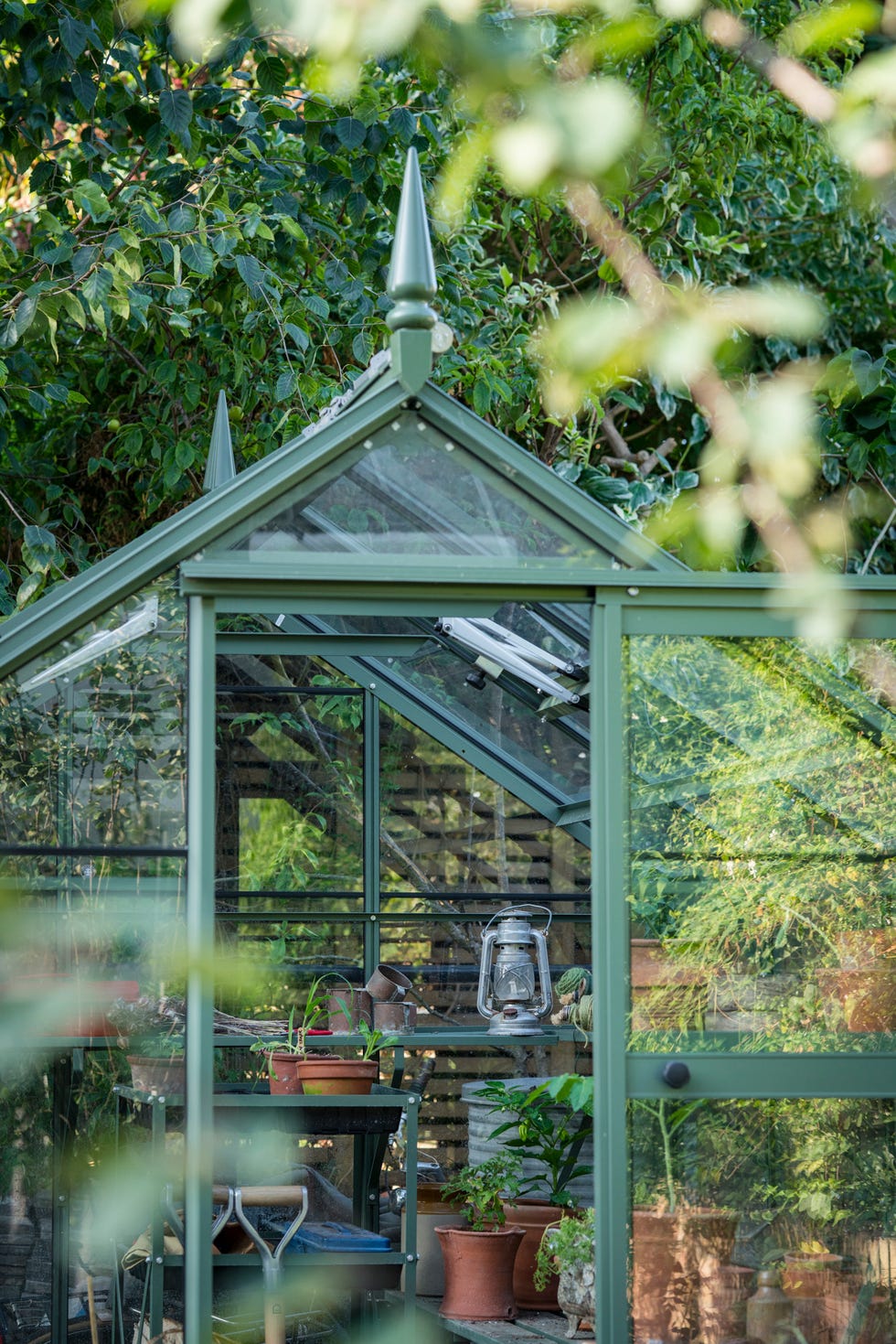 Greenhouse with various plants and gardening tools, lantern