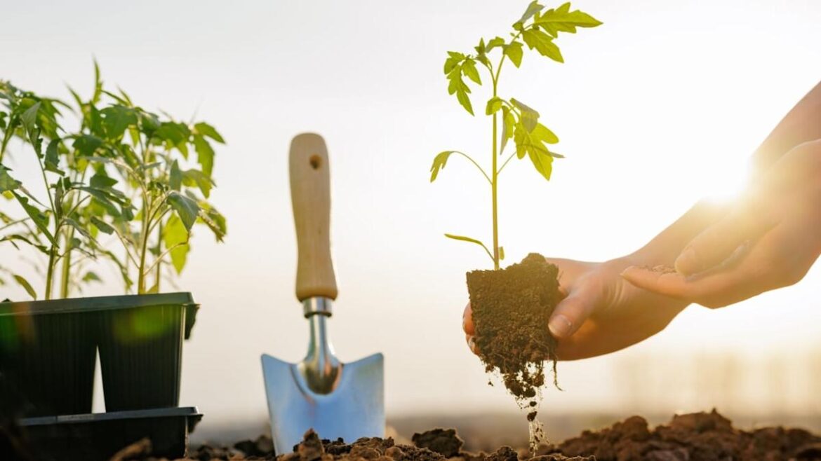 Grow $400 Worth of Groceries for $20: What to Plant Right Now in May, by Zone Grow $400 Worth of Groceries for $20: What to Plant Right Now in May, by Zone