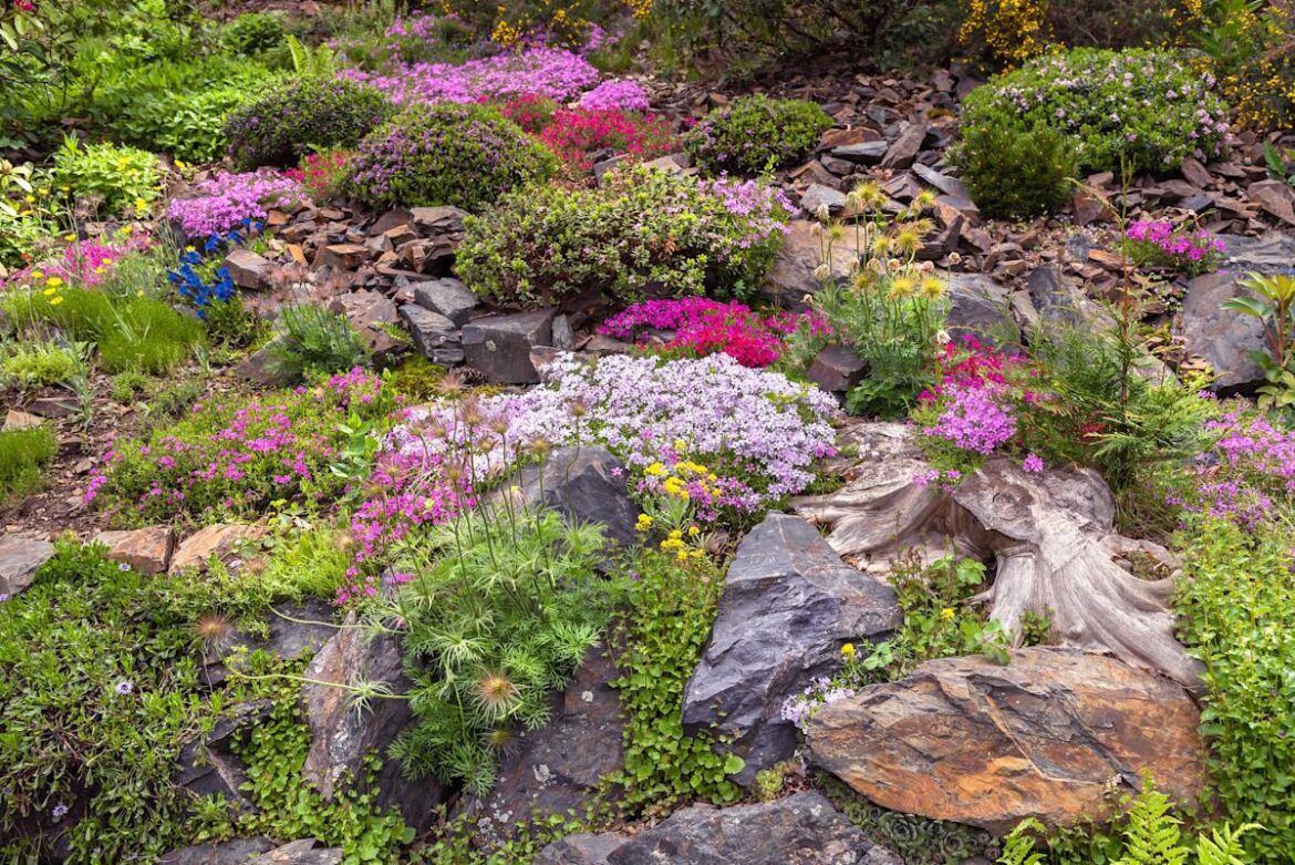 7 Drought-Tolerant Perennials That Practically Take Care of Themselves, According to Gardening Experts