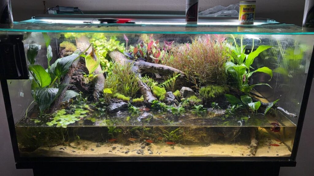 60 days of growth update