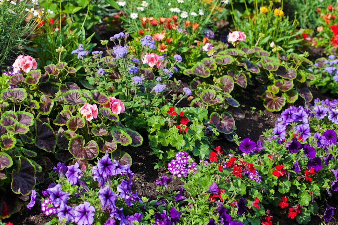 6 Genius Small-Space Gardening Ideas That Make Every Inch Count 6 Genius Small-Space Gardening Ideas That Make Every Inch Count