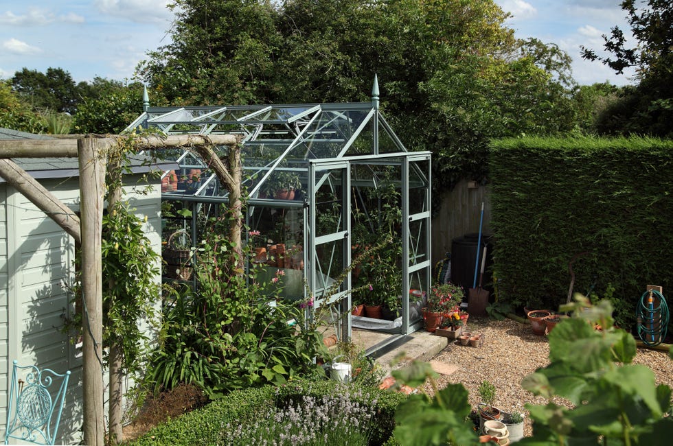 Greenhouse in a garden with various plants and a gravel path.