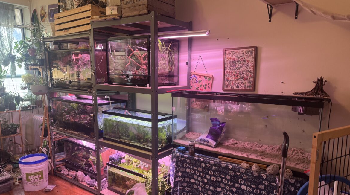Bedroom nature center