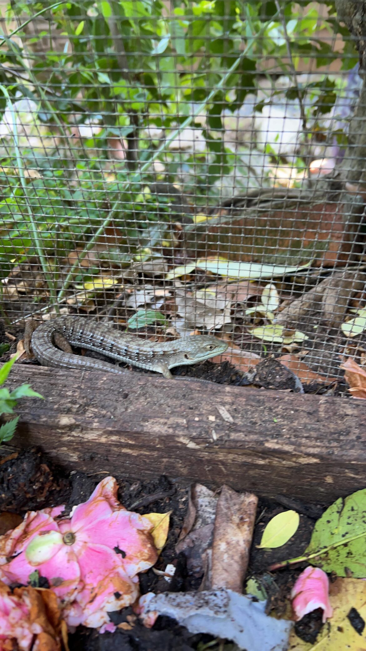 Compost friends