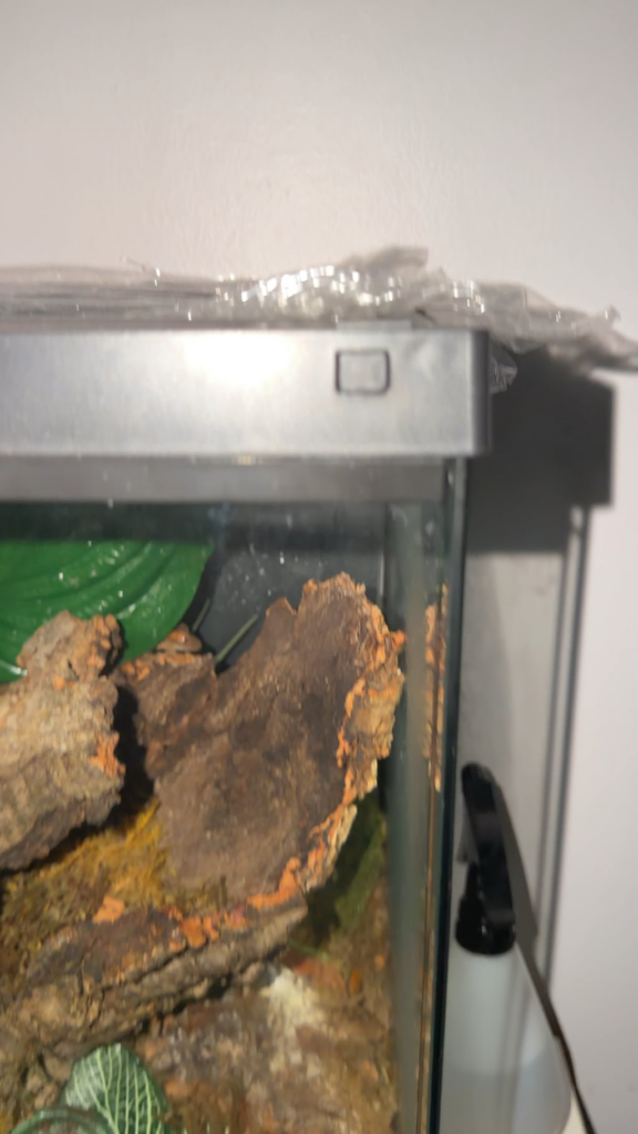 what are these? what are these?