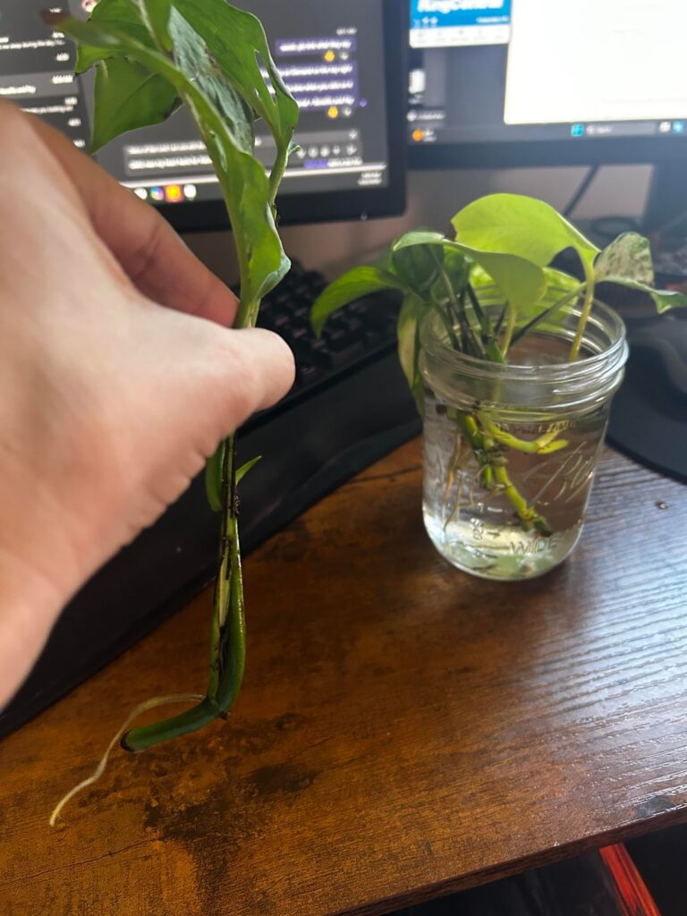 Prop success Prop success